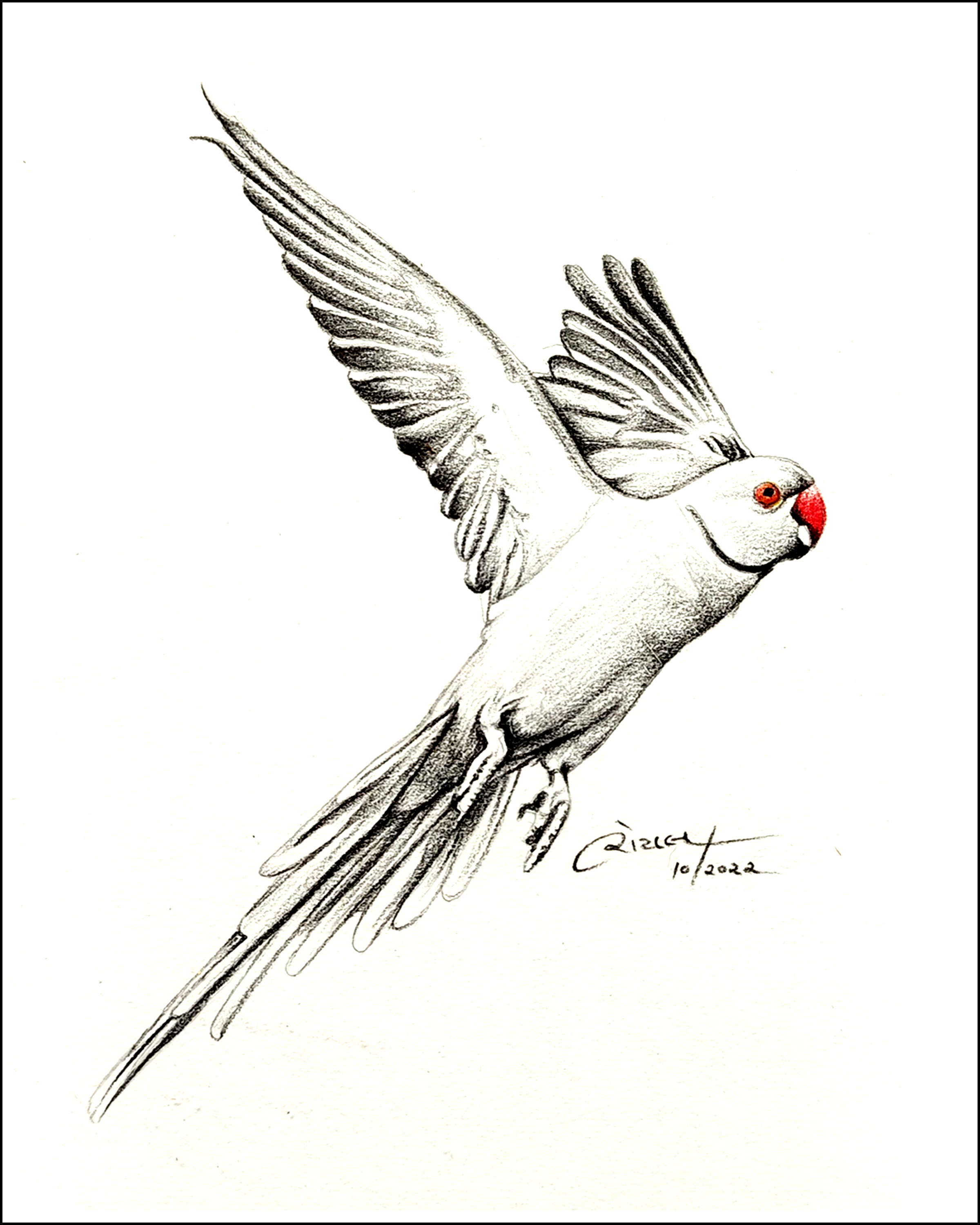 wings of freedom