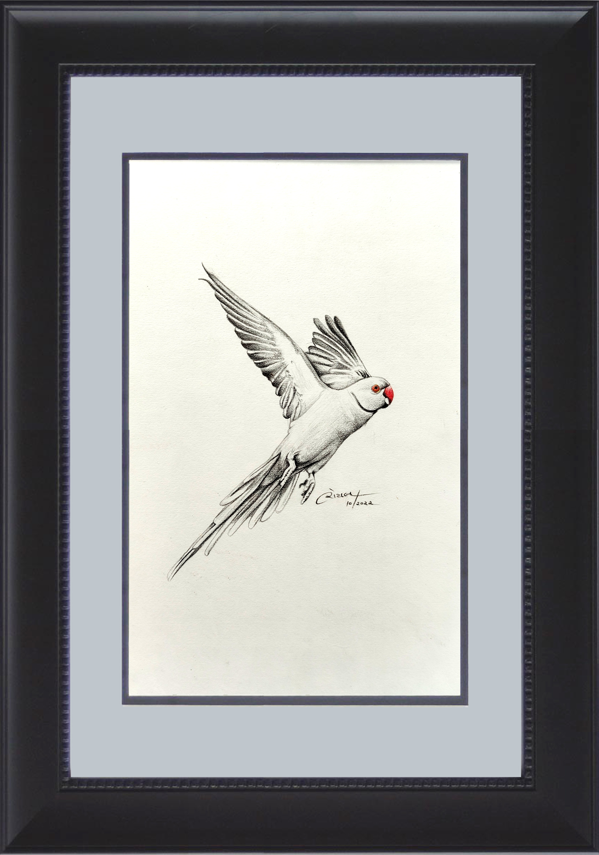 wings of freedom