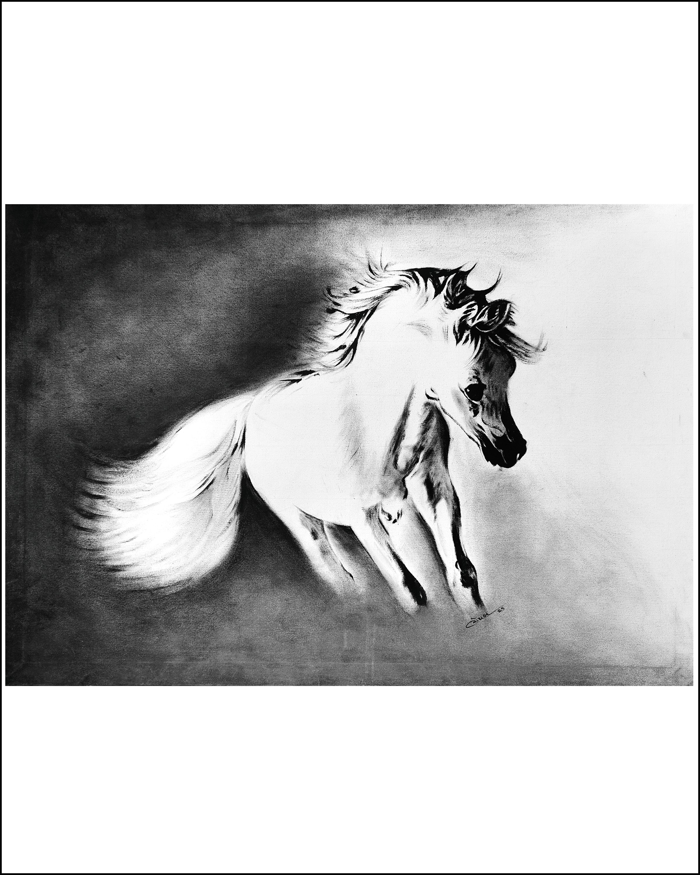 Ethereal Gallop